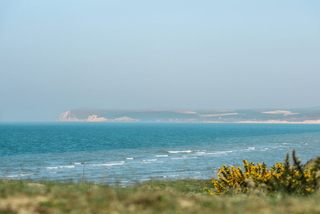 Baie de la plage de Tardinghen sur la Côte d'Opale, vue sur le Cap Blanc Nez. On y voit la mer former de petites vagues depuis la dune fleurie de petits bourgeons jaunes. Cet endroit est le berceau de la marque Ungula Naturalis, artisan de soins naturels pour chevaux