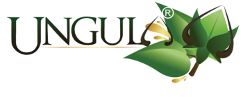 Logo Ungula Naturalis, artisan de produits de soin pour chevaux naturels et artisanaux