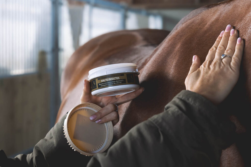 Halte Insectes, anti-mouche naturel pour chevaux, baume fabriqué en france par Ungula Naturalis