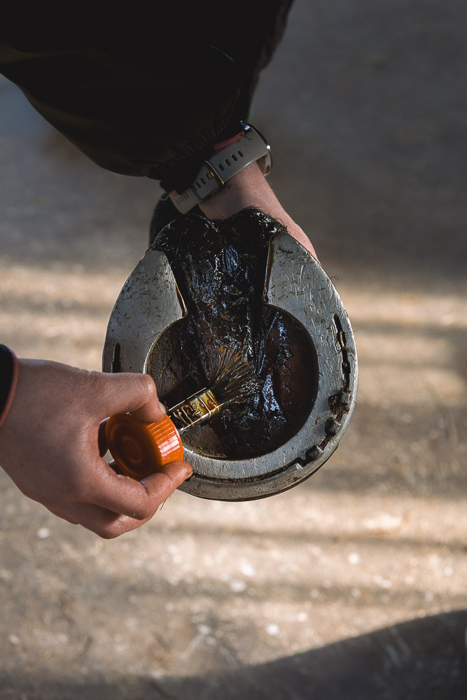 produit de soin naturel pour réparer et aseptiser la fourchette pourrie du cheval, appliquée au pinceau sur un sabot ferré