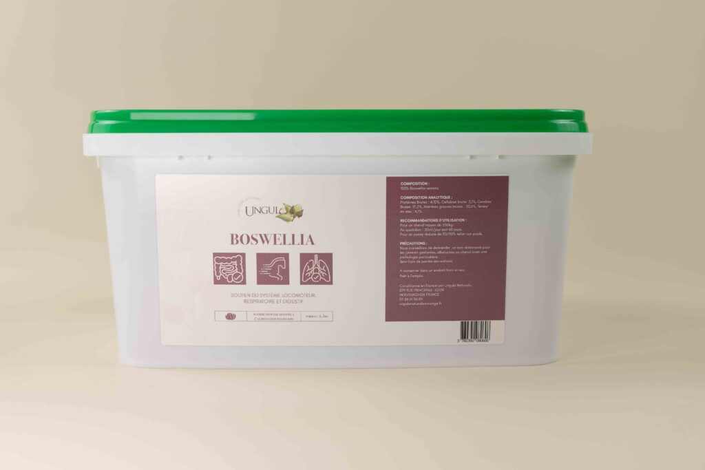 Boswellia plantes pures destiné au soutien du système locomoteur, digestif et respiratoire du cheval