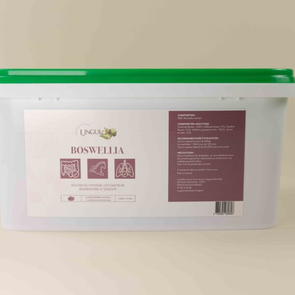 Boswellia plantes pures destiné au soutien du système locomoteur, digestif et respiratoire du cheval