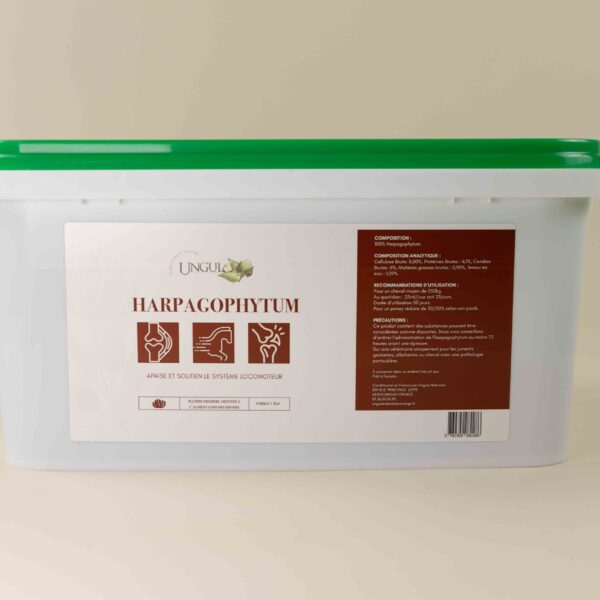 harpagophytum en plante pure disposée dans un sceau blanc avec couvercle vert. Ce produit apaise et soutien le système immunitaire
