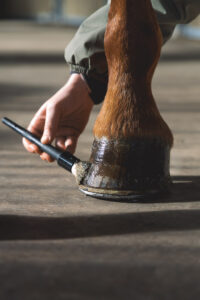 une main applique de la graisse Ungula Naturalis sur le sabot d'un cheval alezan à l'aide d'un pinceau